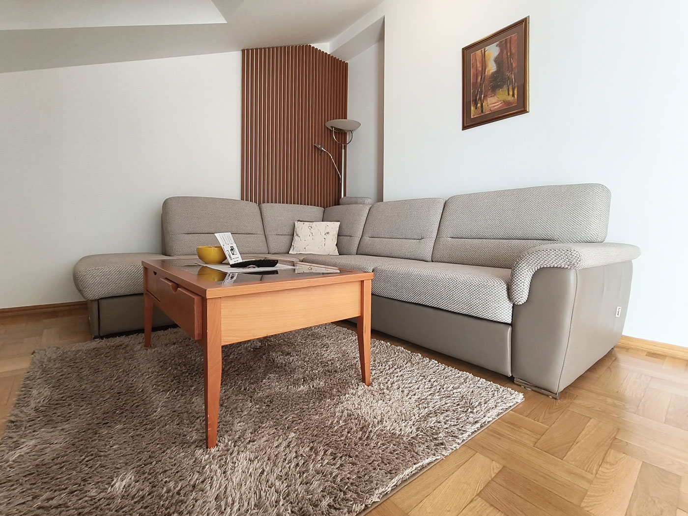 Interijer Apartmana II